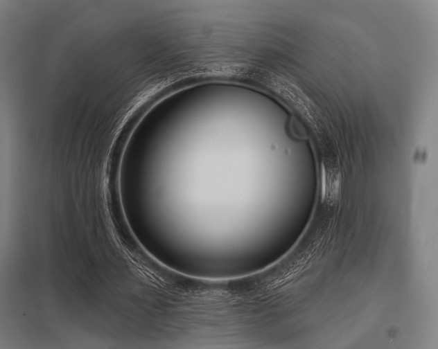 X0000098050483200803281458