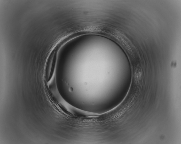 X0000098050484200803281458