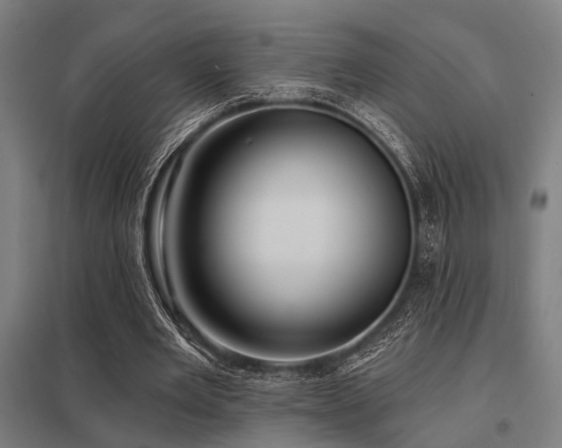 X0000098050485200803281458