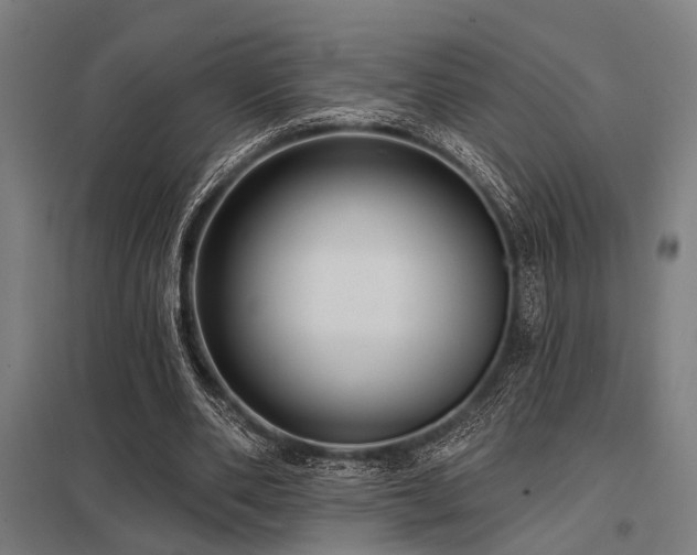 X0000098050486200803281458