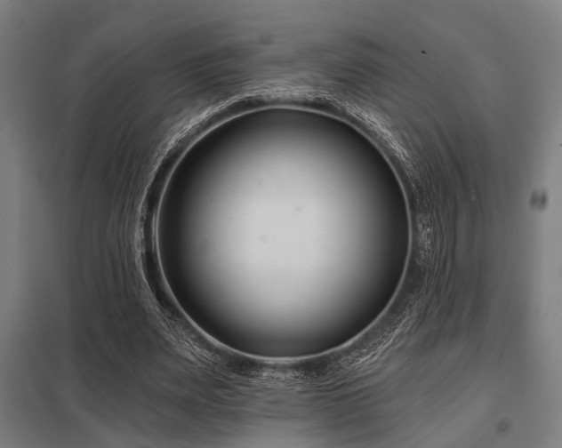 X0000098050487200803281458