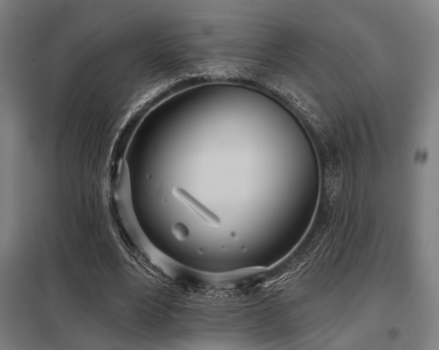 X0000098050488200803281458