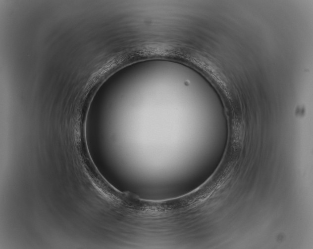 X0000098050489200803281458