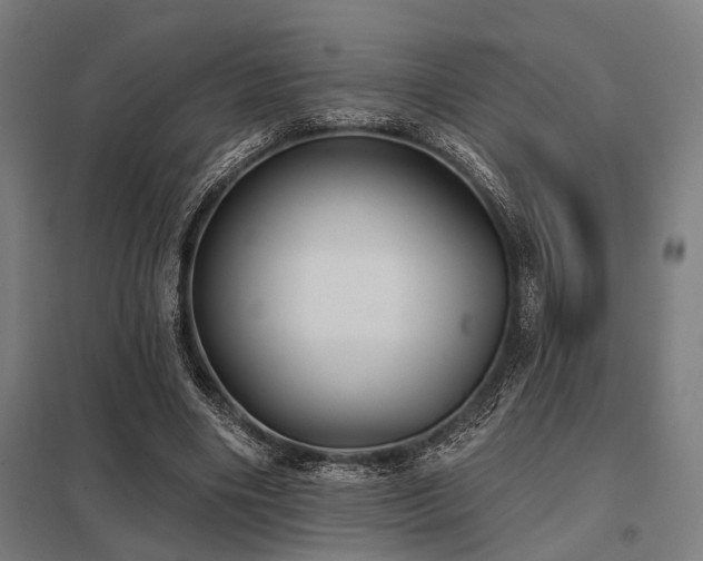 X0000098050490200803281458