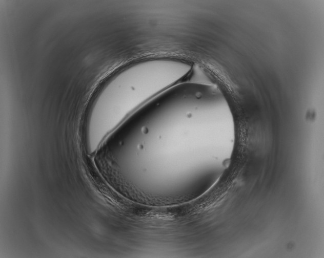 X0000098050491200803281458