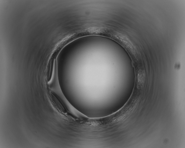 X0000098050492200803281458