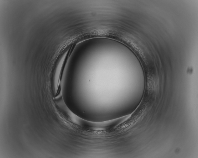 X0000098050493200803281458