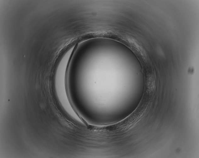 X0000098050495200803281458