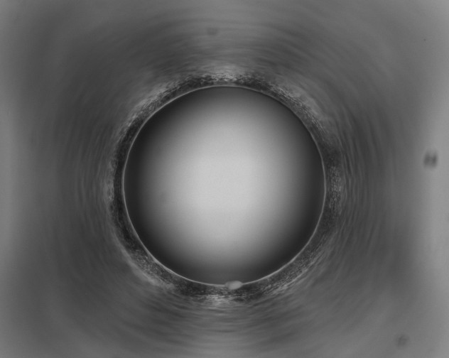 X0000098050496200803281458