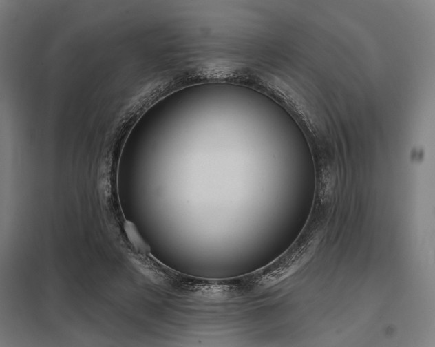 X0000098050497200803281458