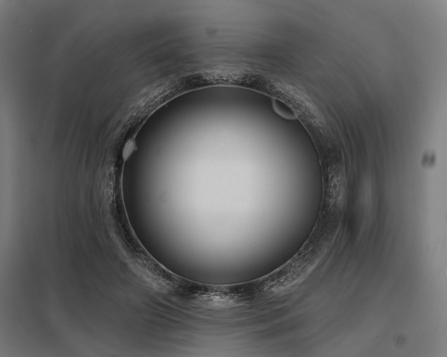 X0000098050498200803281458