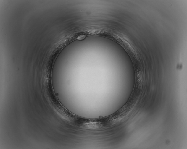 X0000098050499200803281458