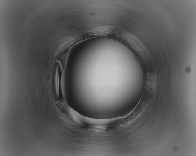 X0000098050501200803281458