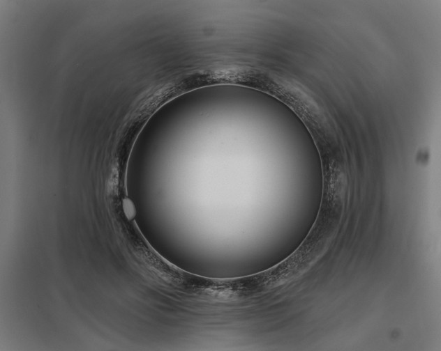 X0000098050502200803281458