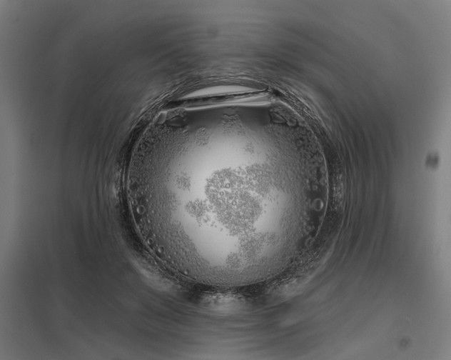 X0000098050503200803281458