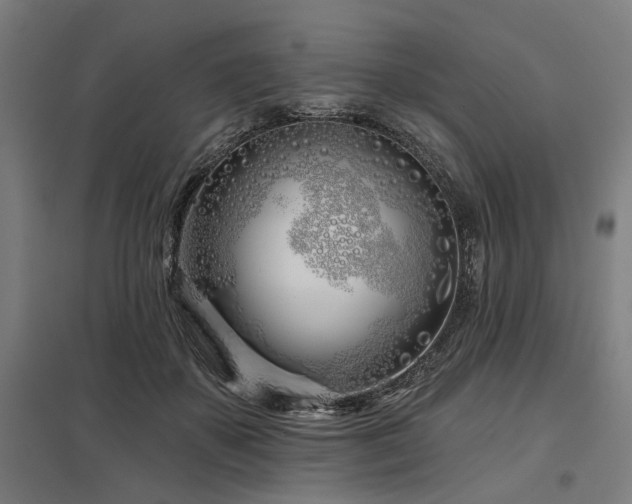 X0000098050507200803281458