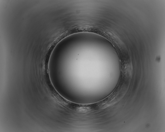 X0000098050508200803281458