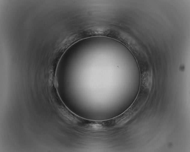 X0000098050509200803281458