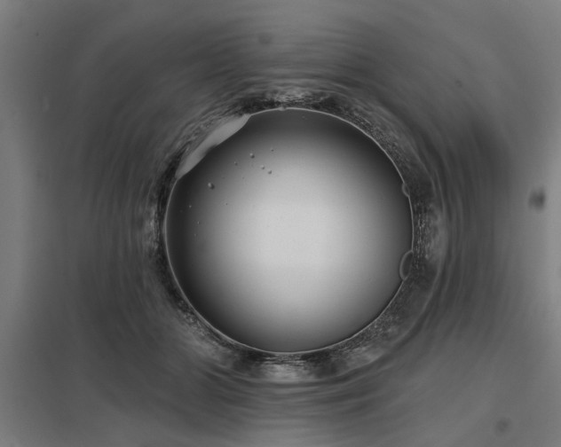 X0000098050510200803281458