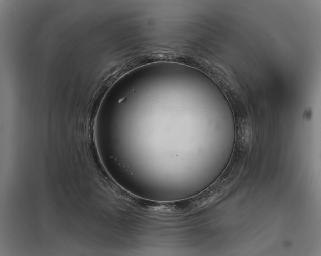 X0000098050511200803281458