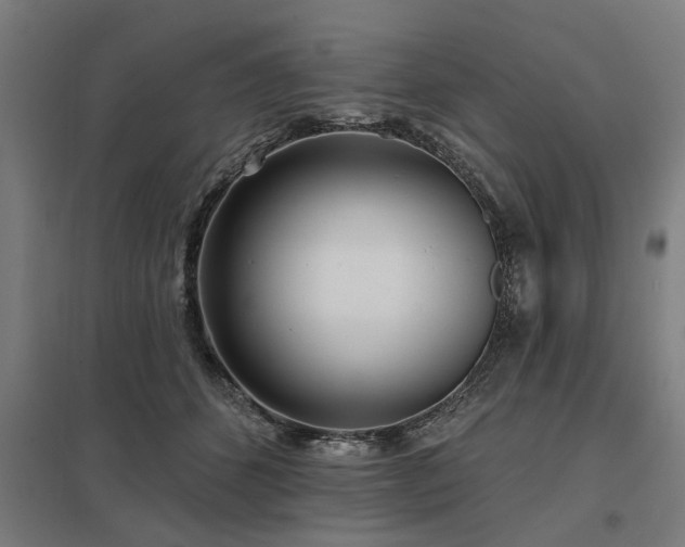 X0000098050512200803281458