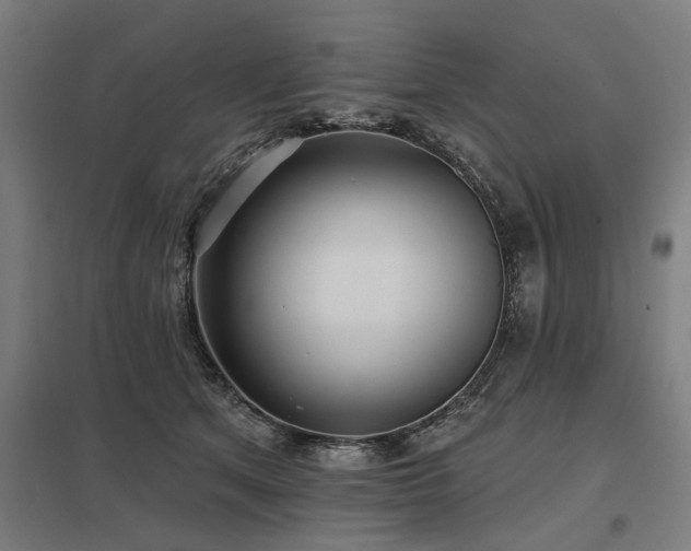 X0000098050513200803281458