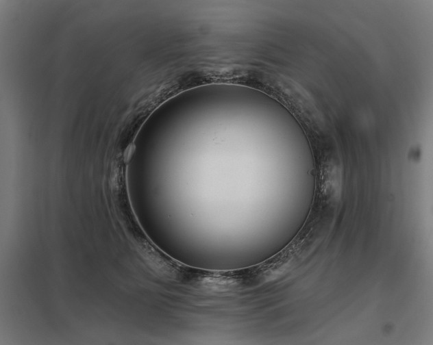 X0000098050515200803281458