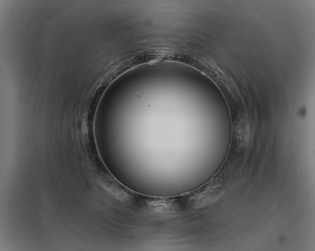 X0000098050516200803281458