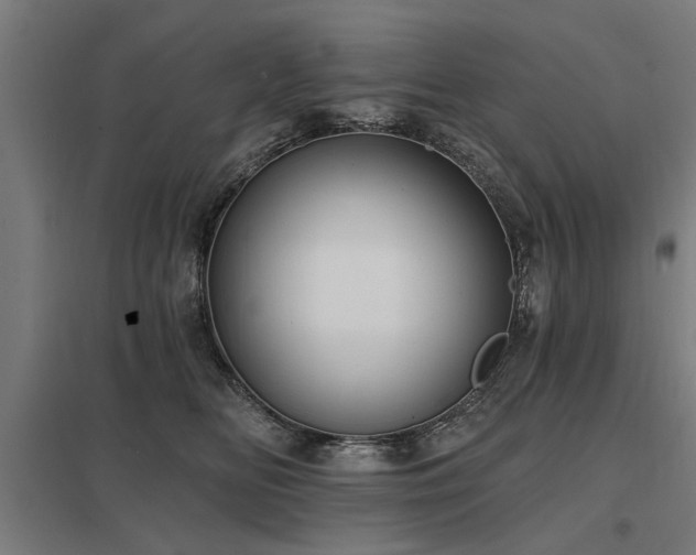 X0000098050518200803281458