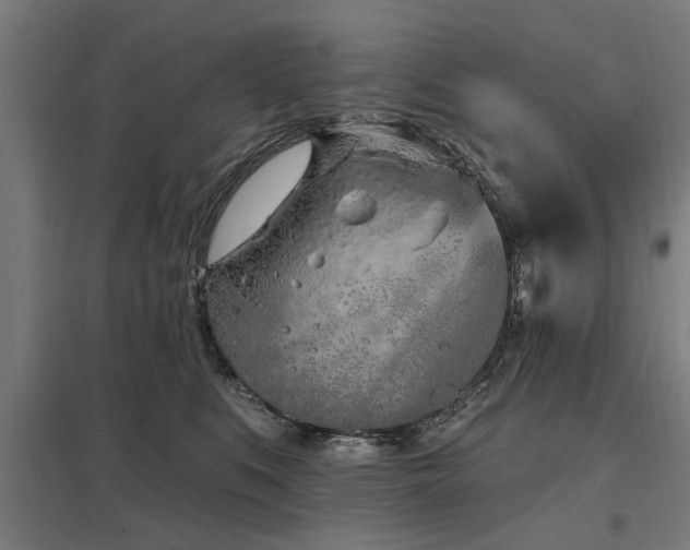 X0000098050519200803281458