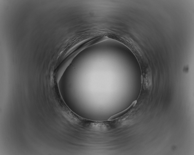 X0000098050520200803281458