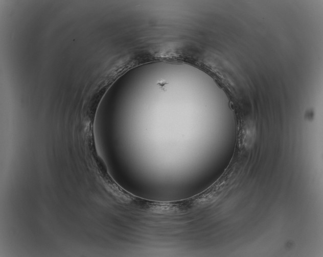 X0000098050521200803281458