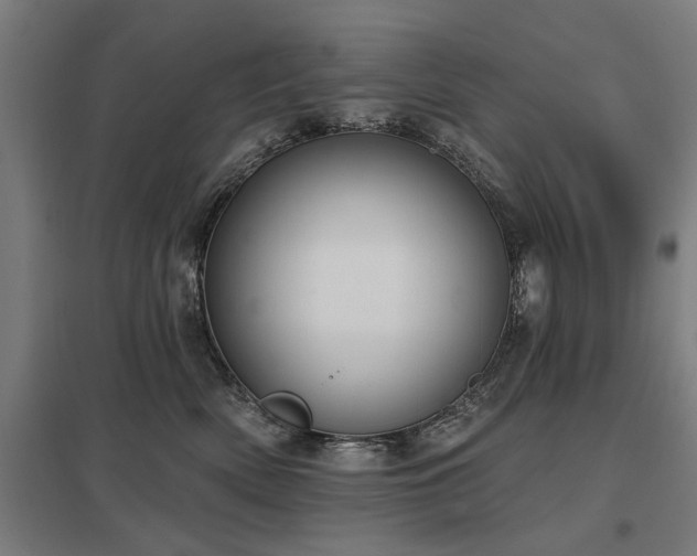 X0000098050522200803281458