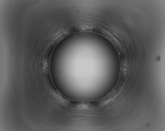 X0000098050523200803281458