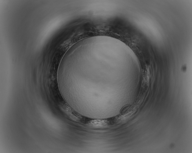 X0000098050526200803281458