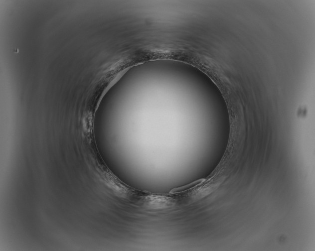 X0000098050528200803281458