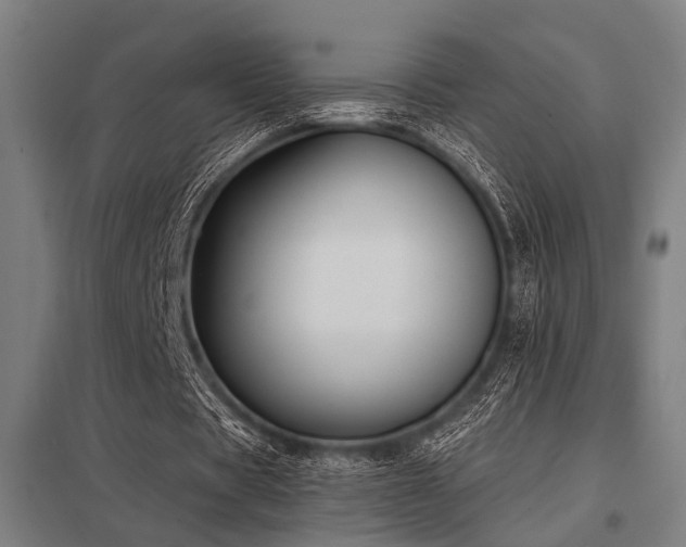 X0000098050529200803281457