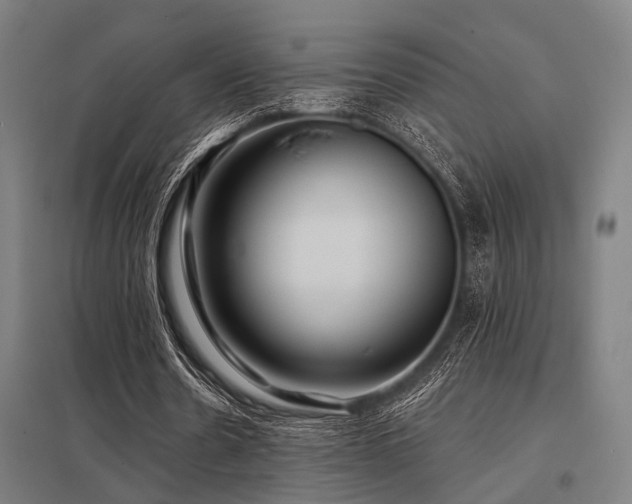 X0000098050530200803281457