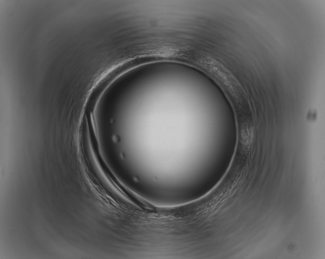 X0000098050532200803281457