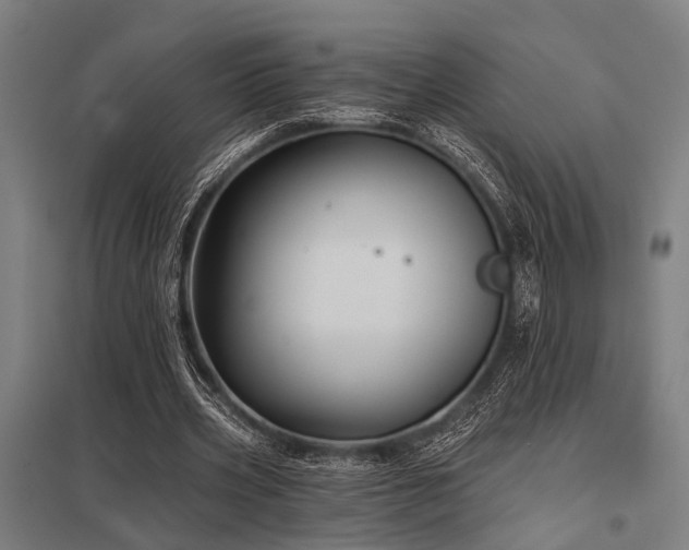 X0000098050533200803281457