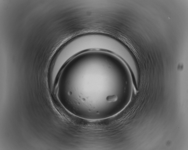 X0000098050534200803281457