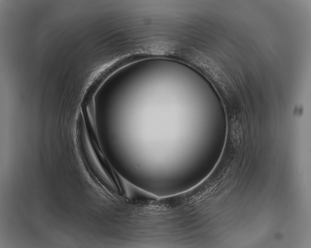 X0000098050536200803281457