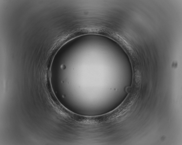 X0000098050537200803281457