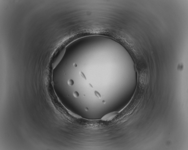 X0000098050540200803281457