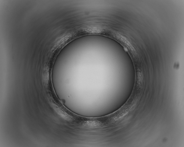 X0000098050541200803281457