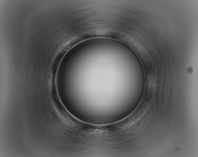 X0000098050542200803281457