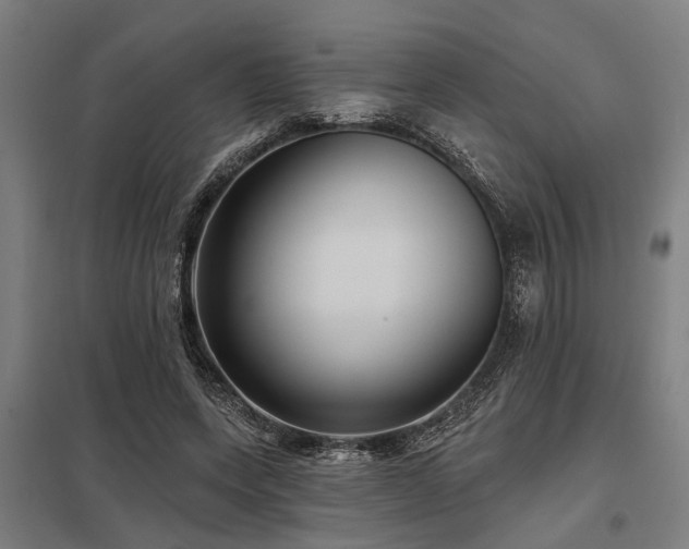 X0000098050543200803281457