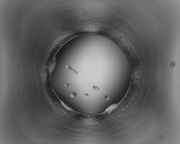 X0000098050544200803281457