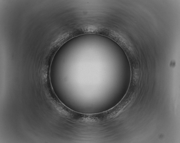 X0000098050545200803281457