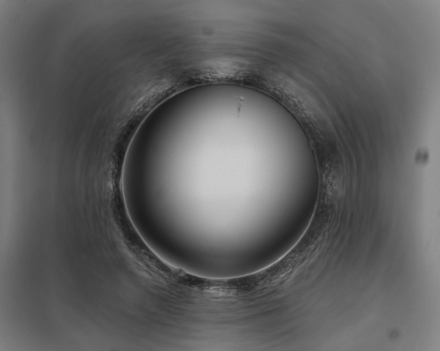 X0000098050546200803281457